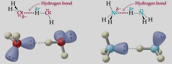 A hydrogen bond is an attractive interaction between a hydrogen that is bonded to a very