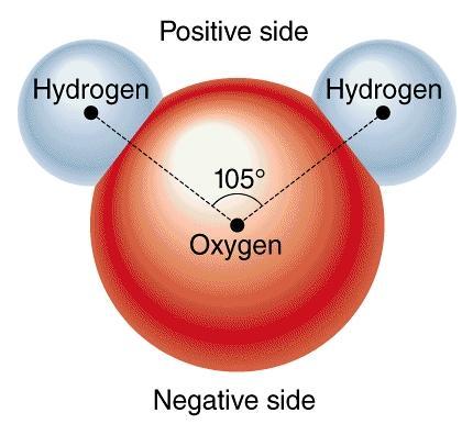 Hydrogen Bond When bonded to an oxygen, nitrogen, or fluorine atom, a hydrogen