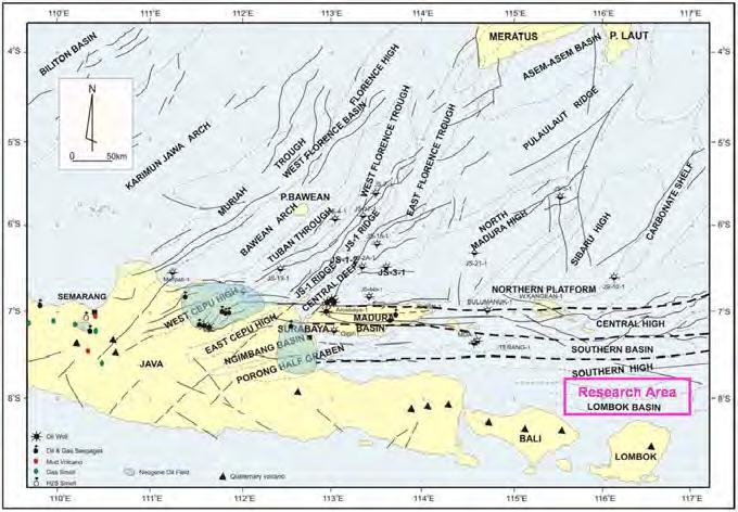 of wells in the area penetrated the granitic basement such as: JS8-1, JS44A-1, and NSA-1C proved that the East Java Basin has a strong continental affinity basement.
