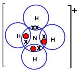 Dative Covalent bonding A Dative covalent bond forms when the shared pair of electrons in the covalent bond come from only one of the bonding atoms.