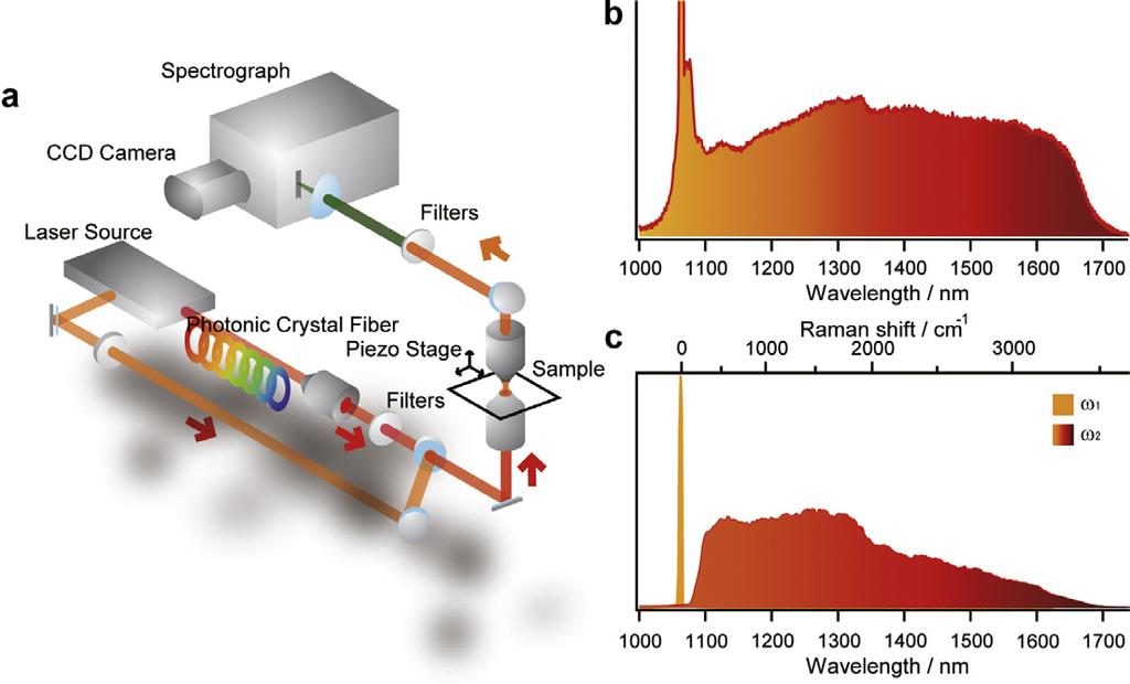 The SC generated from the combination of a photonic crystal fiber (PCF) with a femtosecond (fs) or picosecond (ps) laser source is widely used in multiplex CARS microspectroscopy [9 14].