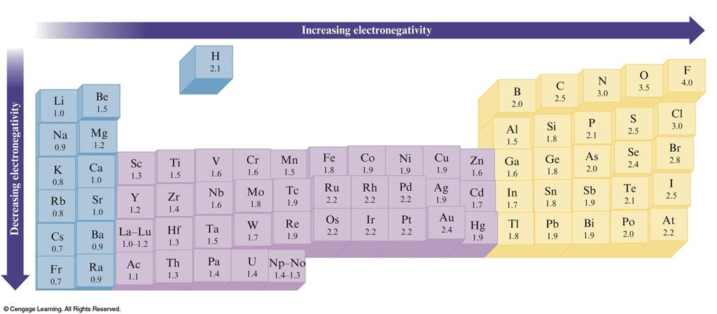 Electronegativity The ability of an atom in a molecule to attract shared electrons to itself.
