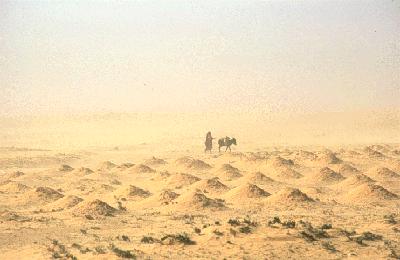 Dust Storm, Tunisia, (D.