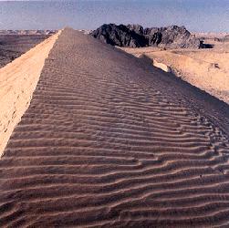 html Ripples on Dune in Gran Desierto, Sonora, Mexico (P.