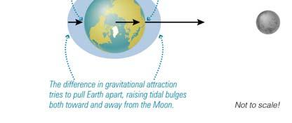 Tides on Earth: Tidal Forces from the Moon Both land and water are affected, but