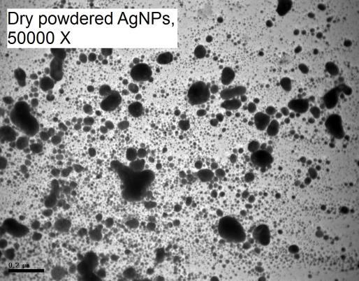 (nm) Figure 1 Size distribution in stock solutions of suspended powder (left) and colloidal (right) AgNPs, Determined by dynamic