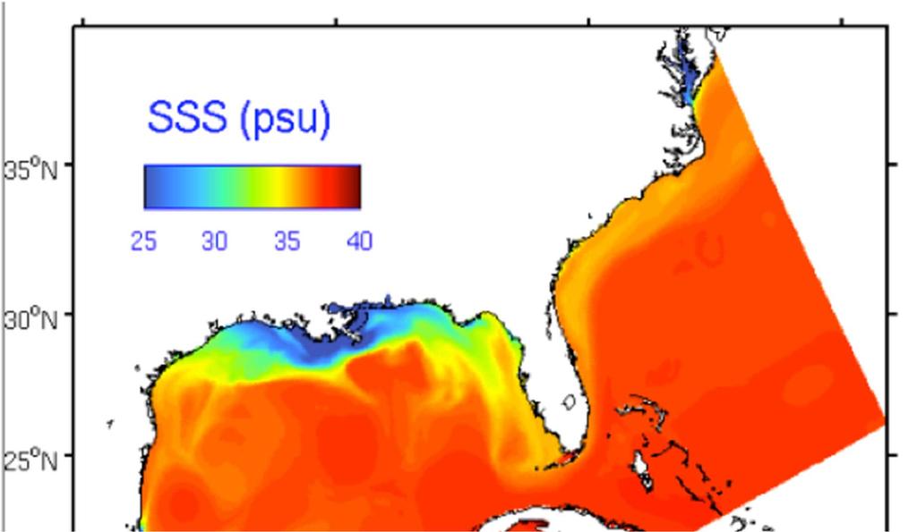 Model Output Showing Spatial Extent Surface Salinity