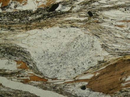 textures in thin-section: large biotite grain being pulled apart by shear with infill