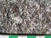 garnet-biotite-graphite +-hbl gneisses Locally compositionally layered (psp-pelitic)