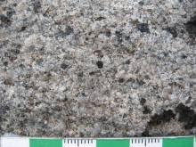diatexite with garnet (~2%), magnetite (~2%), biotite, hornblende, tourmaline, and apatite. 670000 me 675000 me Cornell Bay?