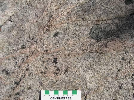 Previous Geochronology 4791-5109: gneissic leucotonalite (Heaman et al.