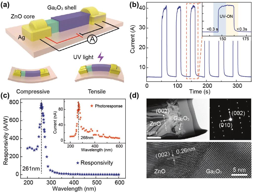simiconductor properties, and optical excitation, which exists in noncentral symmetric wurtzite semiconductors such as ZnO, [10] GaN, [11] CdS, [12] and so on.