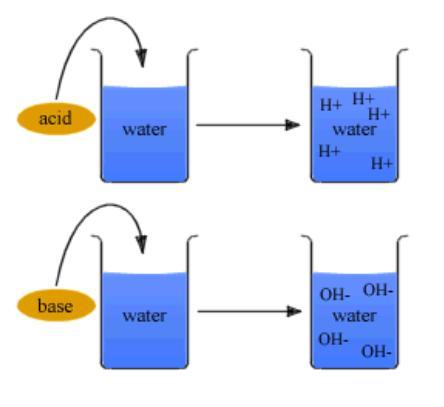 Properties of Acids and Bases (cont.) All water solutions contain hydrogen ions (H + ) and hydroxide ions (OH ).