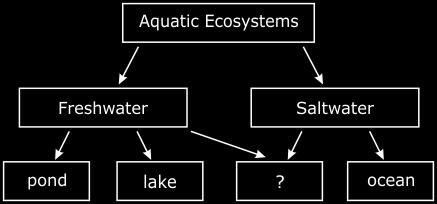 10/07/16, Biome Test 10/7 Student: Class: Date: 1. Which best completes the graphic organizer? A. estuary B. creek C. river 2.