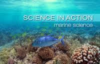 Why is Marine Science Important?