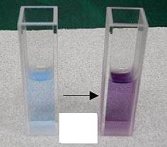 2. Biuret method Protein solutions turn purple with the absorption maximum of 540 nm when Biuret reagent is added (Figure 5).