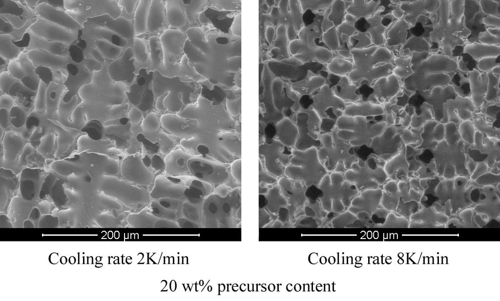 CONCLUSIONS Using a photopolymerization technique, it was possible to generate porous SiCN ceramic with directional pore structure derived from a liquid poly(vinyl)silazane precursor by shaping via