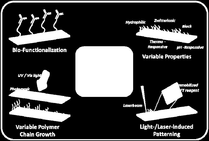 In the last-mentioned area, applying the proper interface can yield Figure 1: Biosensing platforms as an example of using polymer brushes[1] profound information about the investigated species.