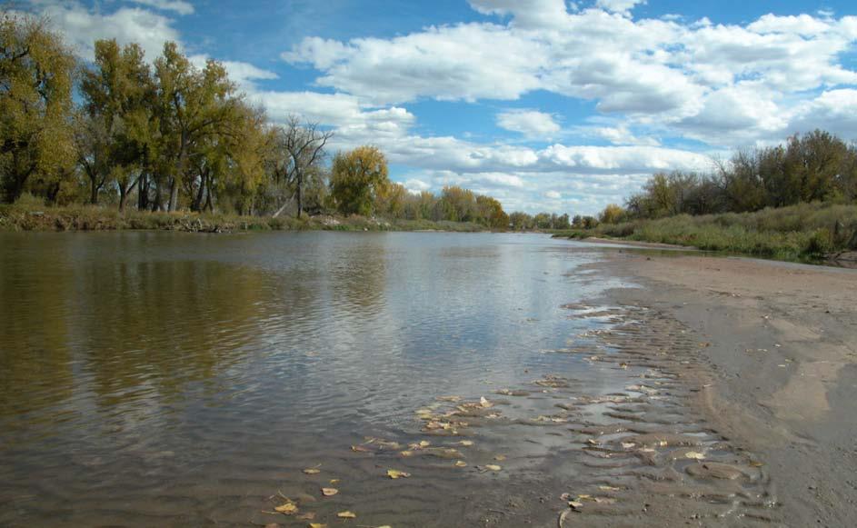 During periods of high flow, these headwaters of the Colorado yield high sediment concentrations, as shown by visible muddiness and low transparency.