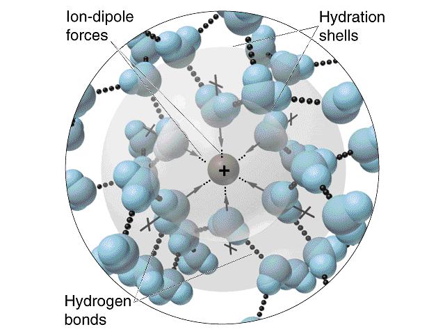 ydration shells around an aqueous ion more charge