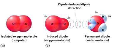 Dipole dipole forces Dipole-dipole Interactions are stronger intermolecular forces than Dispersion forces & occur between molecules that have permanent net dipoles