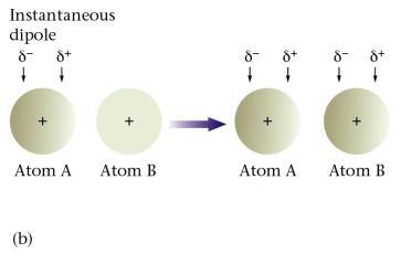 IMF WS #1 Focus Q s#1-3 (pg. 449) 1. Intermolecular forces are found between molecules (ex. Hydrogen bond, London forces,..) and intramolecular forces are found between atoms (ex.