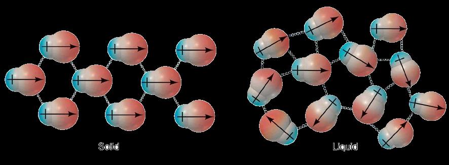 polar molecules with large dipoles have stronger forces