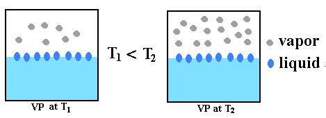 Slide 85 / 125 Vapor Pressure Vapor pressure is the pressure exerted by gas molecules above the surface of an enclosed liquid.