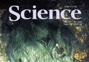 An interesting Extremophile! Science, Mar 10 2000, vol.
