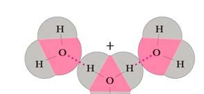 Hydration of Hydrogen ions Resulting proton is immediately hydrated by other water molecules.