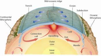 The Crust The Asthenosphere The outermost layer, the crust, is divided into: thick continental crust thin