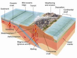The Rock Cycle How are the rock cycle and plate tectonics related?