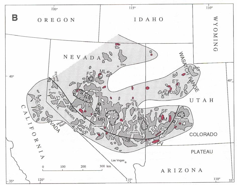 Sierra-Wasatch Magmatic Belt Constructional volcanic plain Built before 43 Ma Tuscarora belt of 43 to 37 Ma A new belt established in central Nevada A series of south-stepping arcs Early Activity 37