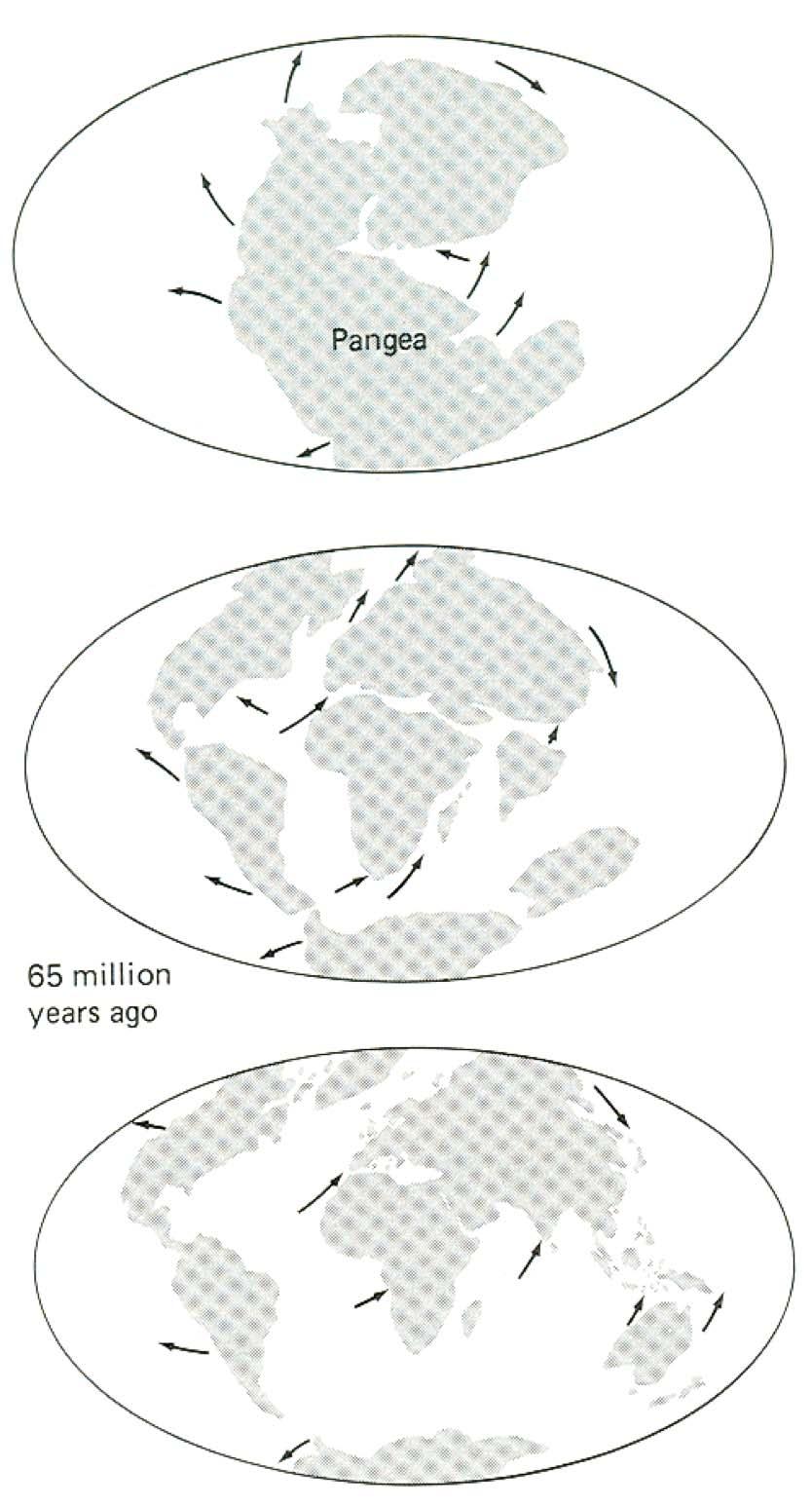 4 Historical Continental Configurations (top) Pangaea about 200 million years before present (MYBP);