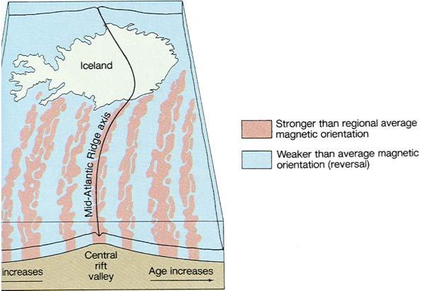 7 Oceanic Crust Formation In the 1950s, geophysicists, making deep ocean magnetic measurements near Iceland, discovered bands of seafloor rocks on both sides of the mid-ocean ridge with