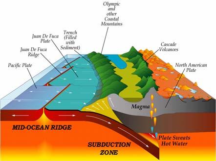 anomalies  Cascadia subduction