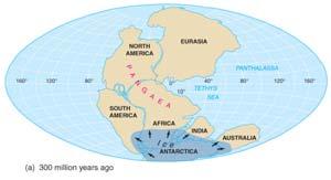 Evidence for Continental Drift Paleoclimatic evidence: Glacial ages and other climate evidence Evidence of glaciation in now tropical regions Direction of glacial flow and rock scouring Plant and