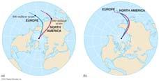 followed by the north magnetic pole through the past