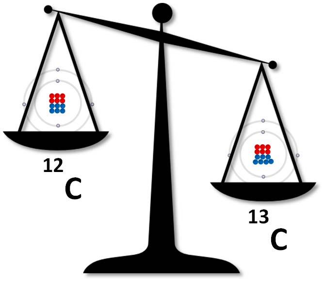 What are stable isotopes? 12 C 13 C Isotopes are versions of an element, such as carbon, that weigh slightly more or less than the most common form (Figure 1).