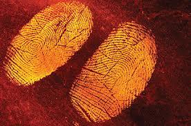 ) Latent (Hidden) Fingerprints oils and other body