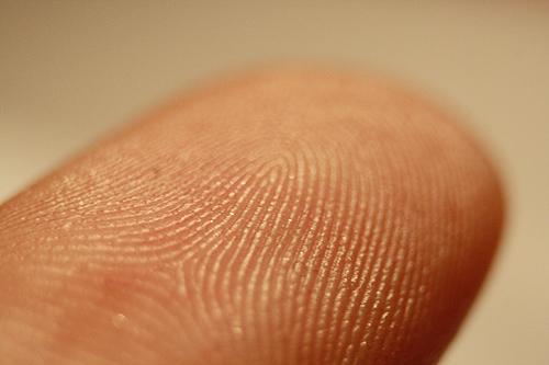 Fingerprints Friction Ridges lines on fingers. Help us grip objects.