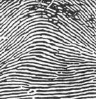 Characteristics f Fingerprints