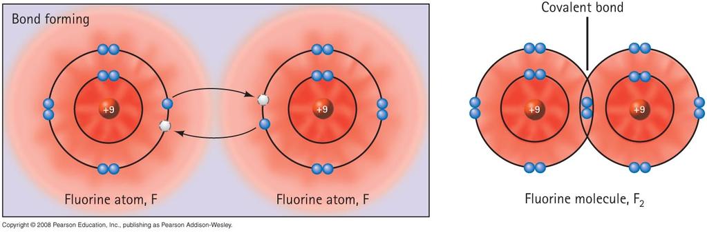 Covalent Bonds Atoms are held together by their mutual attraction for