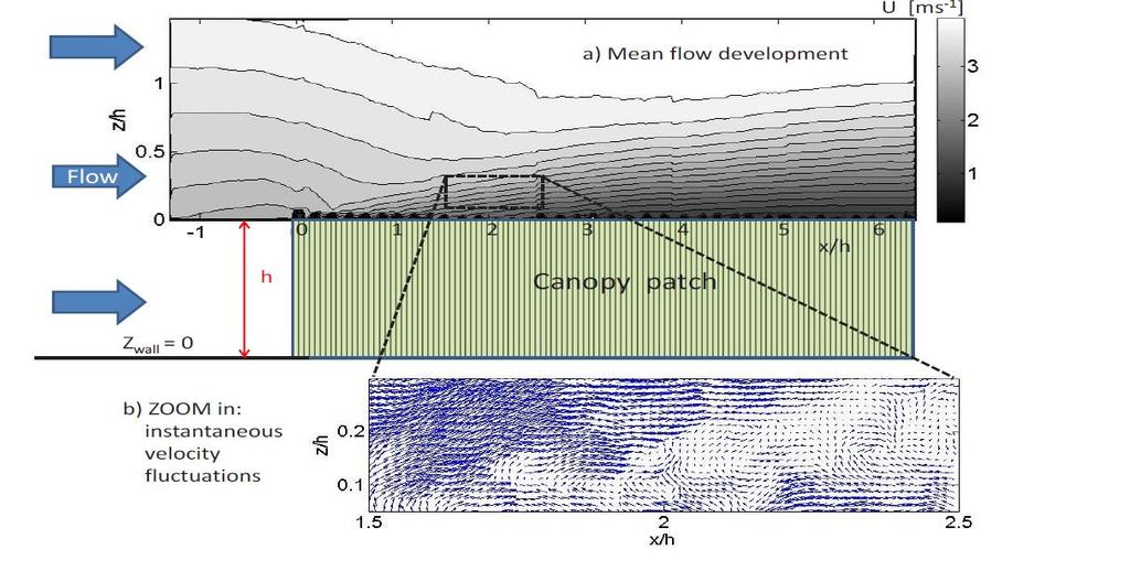 Example of flow development over a canopy SAFL wind tunnel measurements An internal layer develops