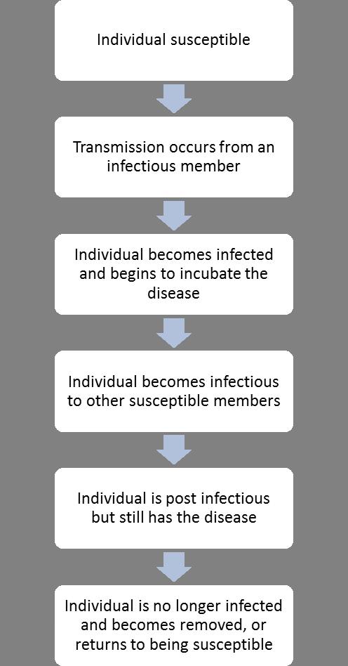 Figure 2.1: The general infection process. having a direct contact with any other individual and hence each member has equal chance of catching the disease.