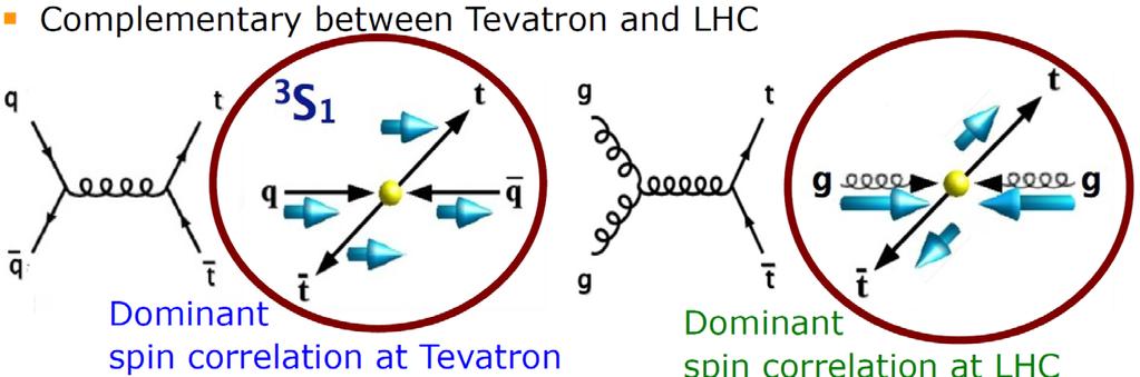 1.4 Spin Correlations Spins of t and t are predicted to be correlated in SM Top decay before hadronization allows to measure top spin from its decay products At LHC at low m(tt) ttbar production