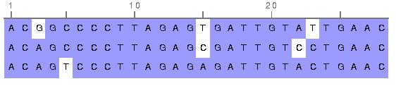 duplications have reshaped their genomes. As a result, only parts of the DNA can be regarded as having evolved from a common ancestor, when considering distant species.