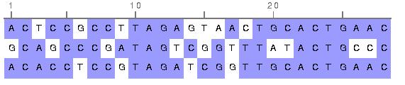 This step is commonly referred to as a Multiple Sequence Alignment MSA) and a vibrant research topic in bioinformatics [11].