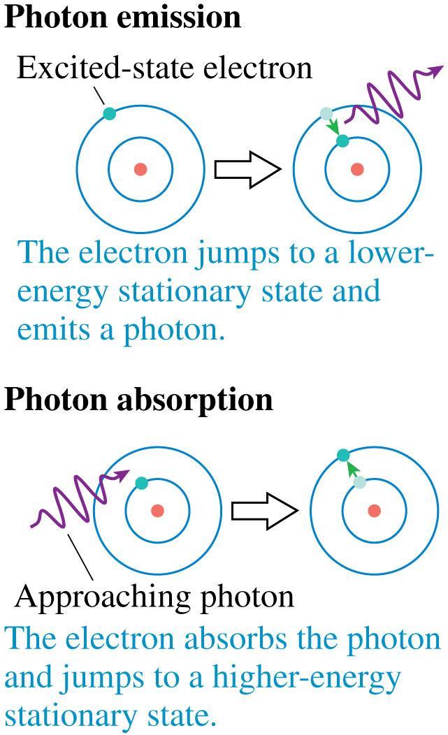 Bohr s Model of Atomic Quantization An atom can undergo a transition or quantum jump from one stationary state to another by