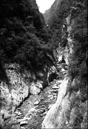 (b) Small tributary of Jin Jiang 90 km above Beichuan. Channel is 3 m wide, and bed is mantled with cobbles and boulders throughout.